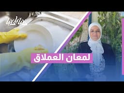 العملاق يكشف السر! ✨ مساعد الشطف لحماية ولمعان يدومان لأطباقك 🧼🍽️