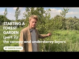 Starting a Forest Garden (part 2): the canopy and understorey layers