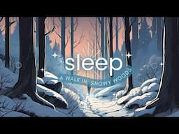10 Hour Deep Sleep Story and Sleep Music "A Walk In Snowy Woods"