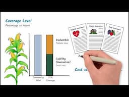 What Determines the Cost of Crop Insurance?