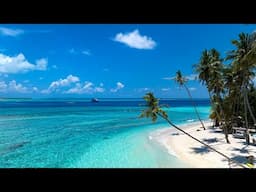 Cool Summer, Bossa Nova Jazz 🌊 Summer Jazz That's Exciting Just By Listening 🌴 Bossa Nova