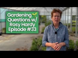 A Climber for Full Shade? How To Grow Alliums from Seed? & Other Gardening Questions w/ Rosy Hardy