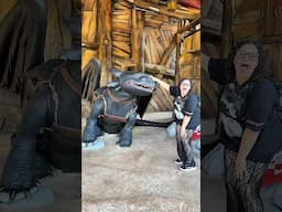 Toothless is the greatest meet & greet ever 😭 Full Epic Day ⬆️ #epicuniverse #toothless #isleofberk