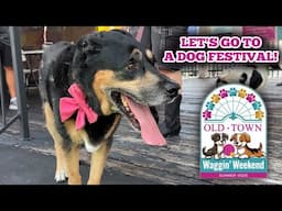 Experience The Old Town Kissimmee Dog Festival: Waggin Weekend 2025!