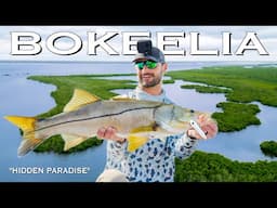 4 Days Exploring Florida's Hidden Fishing Paradise (Bokeelia, FL)