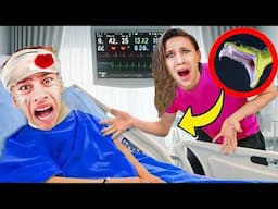 Snake Bite Sent Ferran To Hospital! *scary* (The Royalty Family)