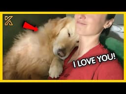 💕When Animals Showing Love to Human by Their Cute Way | BEST MOMENTS 2025!