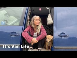VanLife Q&A | Why I Chose This Life, How I Fund It & Meet Pudding! (Mini Van Tour Included)