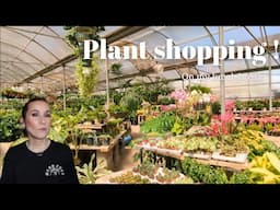 PLANT SHOPPING on my lunch break!