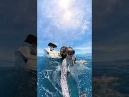 is diving a waste of money?