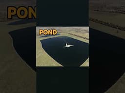 so close #dcs #dcsworld #simulator #flightsimulator #gaming