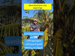 കൂടുതൽ ഓസ്‌ട്രേലിയൻ ജോലി ഒഴിവുകൾ #australianjobs