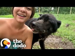 Wolfdog's Human Mom Teaches Him How To Howl | The Dodo