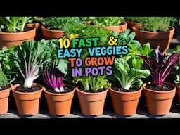 10 Easy & Fast Growing Veggies You Can Harvest in Under 1 Month From Pots