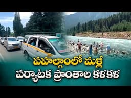 Tourism in J&K's Pahalgam limping Back To Normalcy | పహల్గాంలో మళ్లీ  పర్యాటక ప్రాంతాల కళకళ