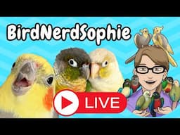 BirdNerdSophie Livestream
