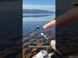 I lit up when I found this! Great photo opportunity 😁✨️ #lochness #naturephotography #scotland