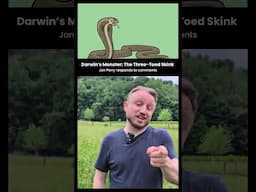 The Bible on Reptile Evolution