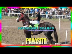 PAYASITO   San Bernardo   Chaco 27 04 2025
