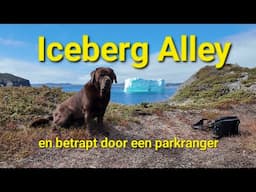 Iceberg Alley en betrapt door een parkranger.