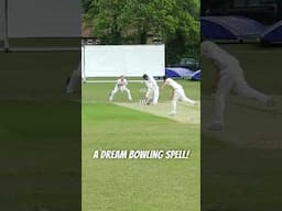 FIRST CYCC FIFER! #cricket #cricketlover #villagecricket #cricketnews #bowling #sixes #fyp #bowled