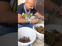 मुट्ठया खेकड़ा स्पेशल….👑❤️🍗 #chickenlegpiece #archana #mukbang #indianfood #food #foodie #shorts