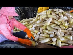 So Impressive! Taiwan radish food products - dried radish, radish cake, radish pastry 蘿蔔乾、蘿蔔糕、蘿蔔酥餅