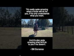 #horse #buckaroo #carsonjameshorsemanship #equestrian #vaquero