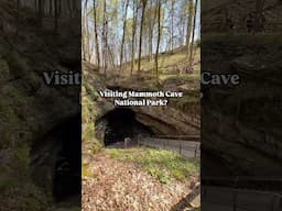 Things to do near Mammoth Cave National Park | Cave City KY