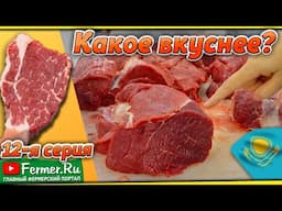 Мраморное мясо без всякого откорма! Разводите верблюдов! Дегустация бульона казахских бактрианов.