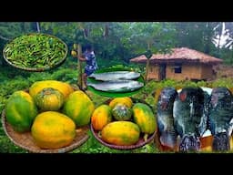 Buhay Probinsya | Pag Harvest Ng Papaya At Mga Gulay Sa Probinsya | Binatang Pinoy