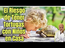🐢⚠️ GRAVE RIESGO PARA LOS NIÑOS DE TENER TORTUGAS EN CASA ⚠️🐢