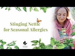 Stinging Nettle for Seasonal Allergies