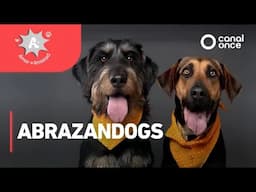 A + A - Abrazandogs (14/06/2025)