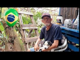 UM HOMEM DE 74 ANOS E 4 CACHORROS VIVENDO NO MATO SANTA CATARINA BRAZIL 🇧🇷 🇬🇧.