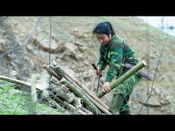 Collecting Firewood, Making a Trellis for Luffa Plants: River Survival | EP.453