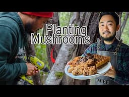 Inoculating Mushroom Logs + Chicken and Waffles