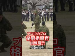 格闘指導官12名による格闘訓練展示 本編は関連動画へ　第1空挺団創立67周年記念行事