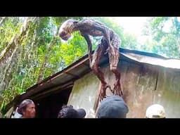 Mysterious Creature Caught In The Philippines Shocked Everyone!