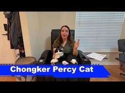 Best Gift for Seniors: Chongker Interactive Robot Cat Stuffed Animal Percy!