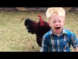 Epic Viral Fails of the Week - Best Funny Videos!
