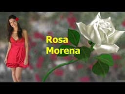 Anjos do Inferno - Rosa Morena
