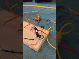 Ampeg VH-140C Distortion Circuit Standalone on the Breadboard (St. Louis Music Patent)