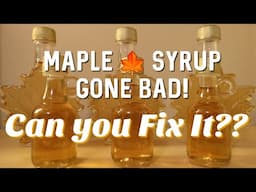 When Maple Syrup Goes Bad! Can you fix it?!