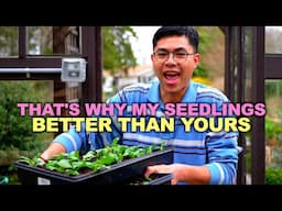 Grow STRONG Seedlings FAST with These Tricks!