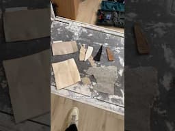 What fabric would you pick for my new studio?