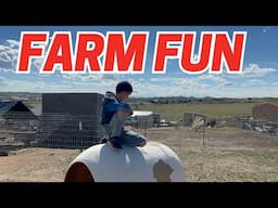 Shenanigans & Silliness On The Farm… Just a Day in the Life!!