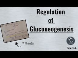 Regulation of Gluconeogenesis || Carbohydrate metabolism || Biochemistry
