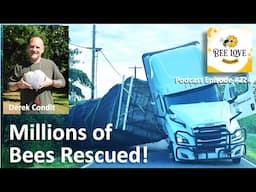 Millions of Bees Saved After Truck Rollover - Beekeepers To The Rescue