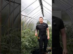 Build a DIY Hoop House in Minutes! 🌱💪 #Shorts